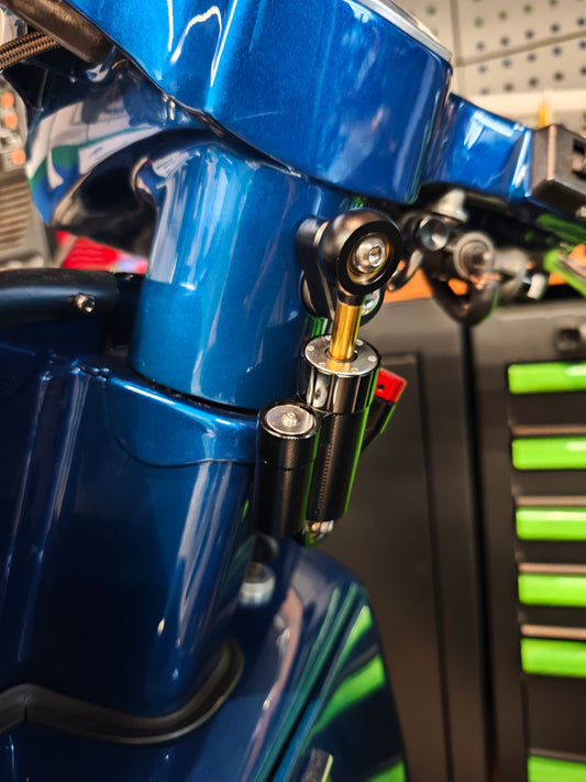 Ammortizzatore di sterzo verticale